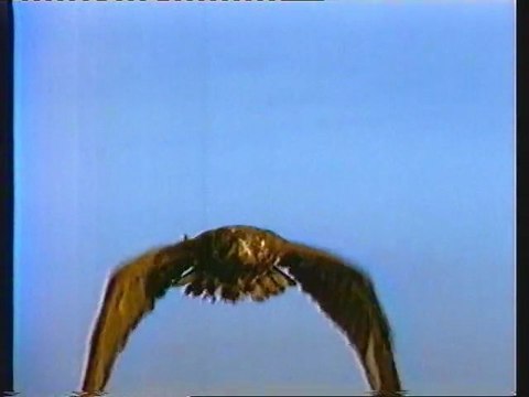 TF1 24 Nov. 1998 Générique Ciné Mardi,3 Pubs et 2 B.A