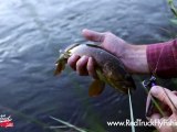 Red Truck Diesel Fly Reels - Red Truck Fly Fishing Company