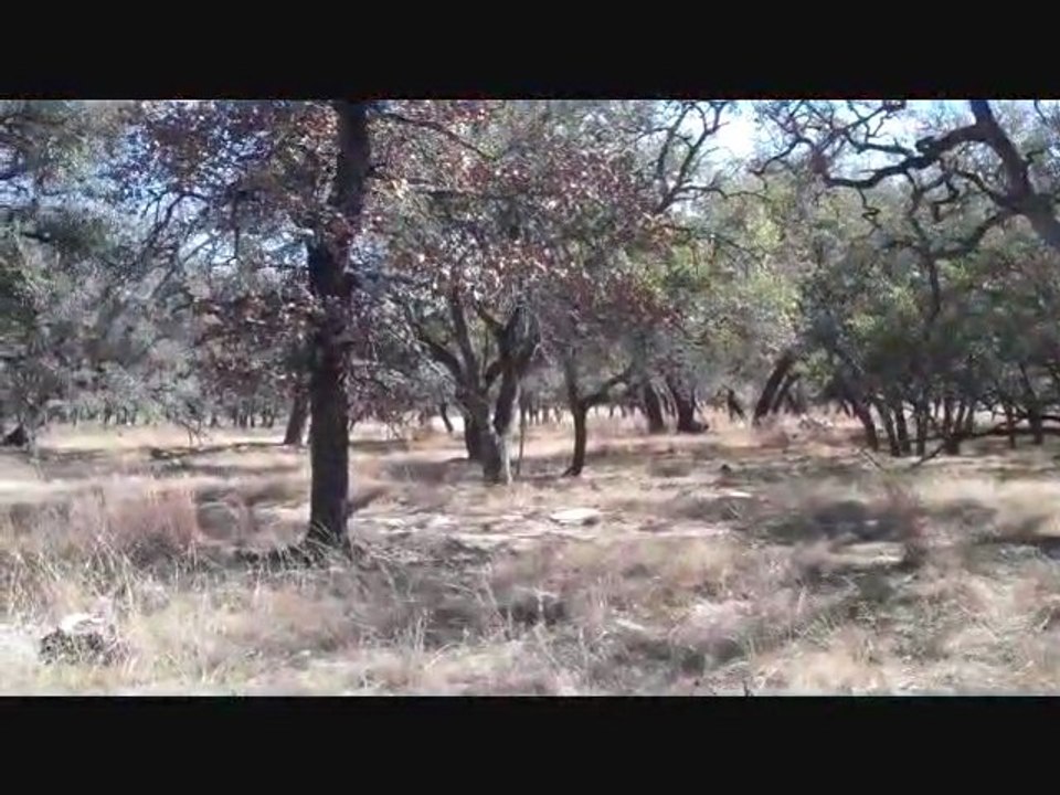 96 acres Fredericksburg TX Real Estate www.MikeStarks.com
