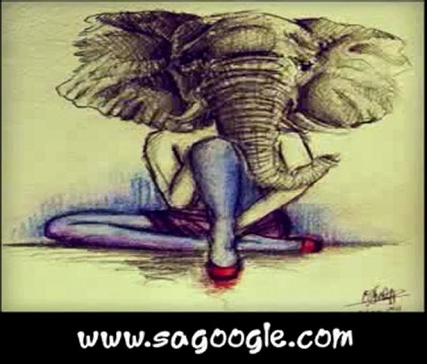 Kolera - Fil Style 2011 Specialist 4