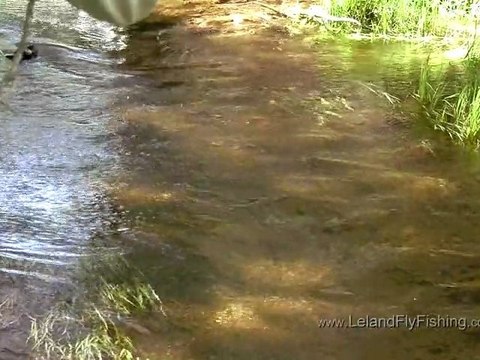 Sage TXL-F Fly Rod Review - Leland Fly Fishing Outfitters