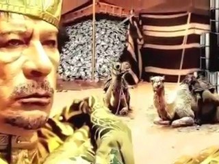 القذافي دي جي :) Gaddafi