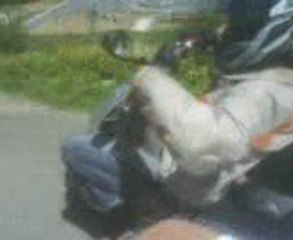 petit délir a l ancienne