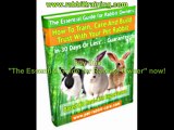 The Essential guide for Rabbit owner