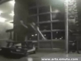 inline vs skateboard