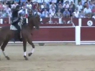 MACHADO Caballo de Pablo Hermoso de Mendoza