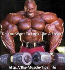 Best Protein Powder For Building Muscle