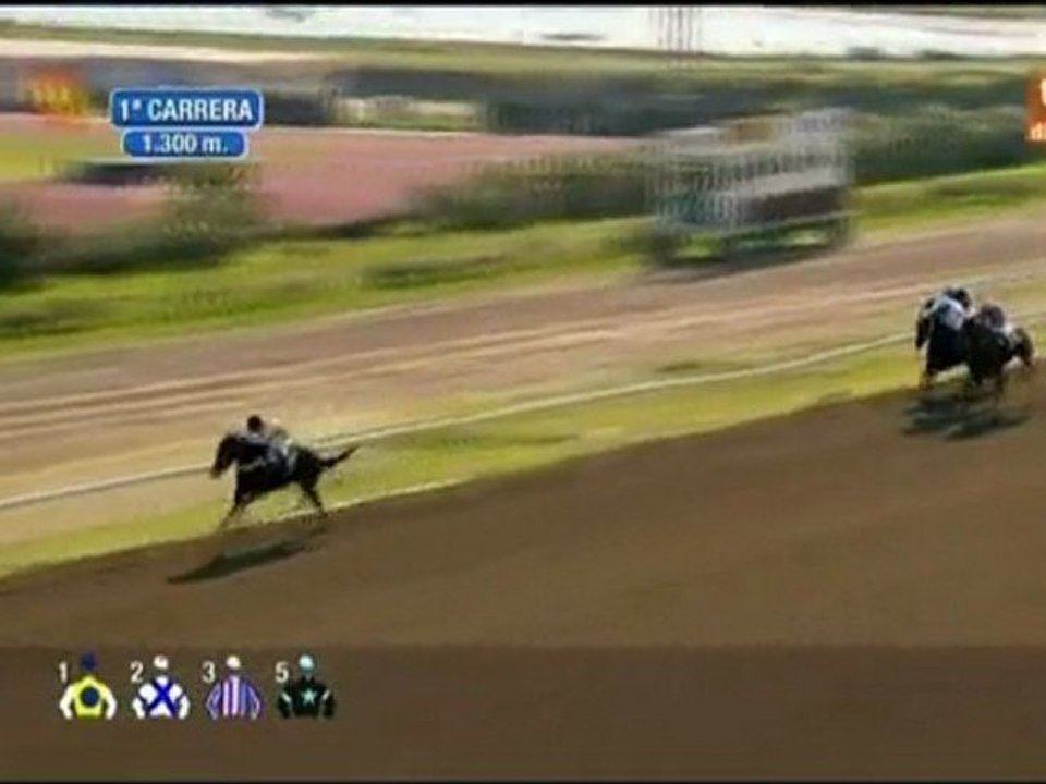 2011.02.25, nº 48 MJ ( Ser Malaga (Potros 3a, C) BARKING