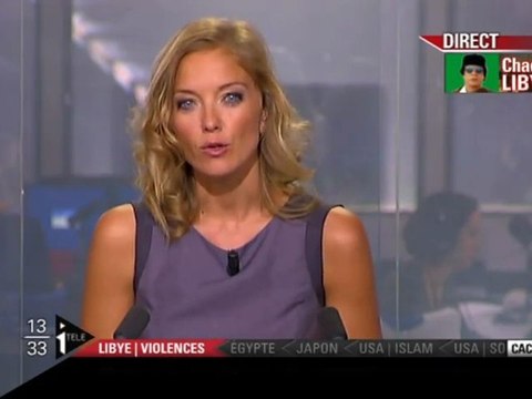 Libye Kadhafi: P.Baudoin F.I.D.H 25/02/2011