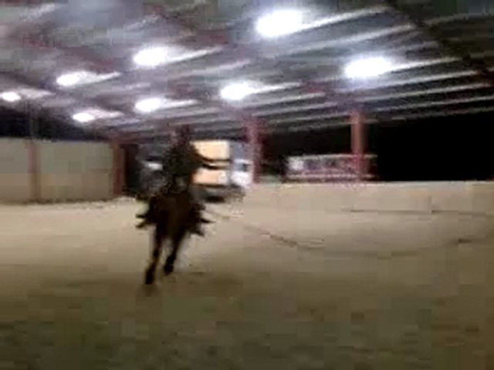 Galop en Voltige