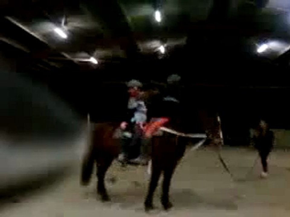 Galop en Voltige 2