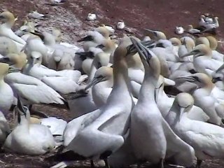 Québec en été (deuxième partie)