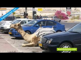 KoMiK - İLGiNÇ - ReSiMLeR