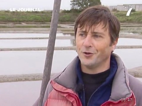 Nantes7 - JT du 25/02/2011