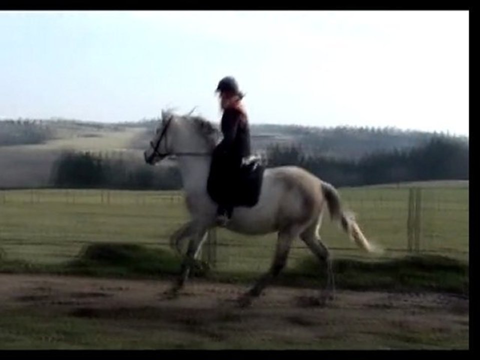 Début de travail sur le plat classique et divers liberté