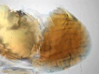 Collectif BeUnik | TEASER