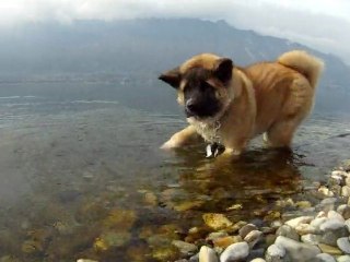 2011-02-26 - Lac du Bourget - 1