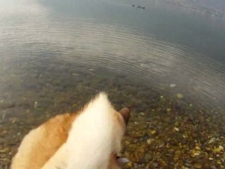 2011-02-26 - Lac du Bourget - 2