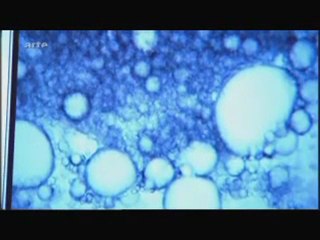 FX La technologie du futur 23