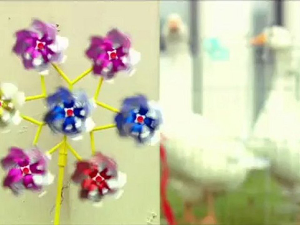 Julien Doré - Kiss Me Forever