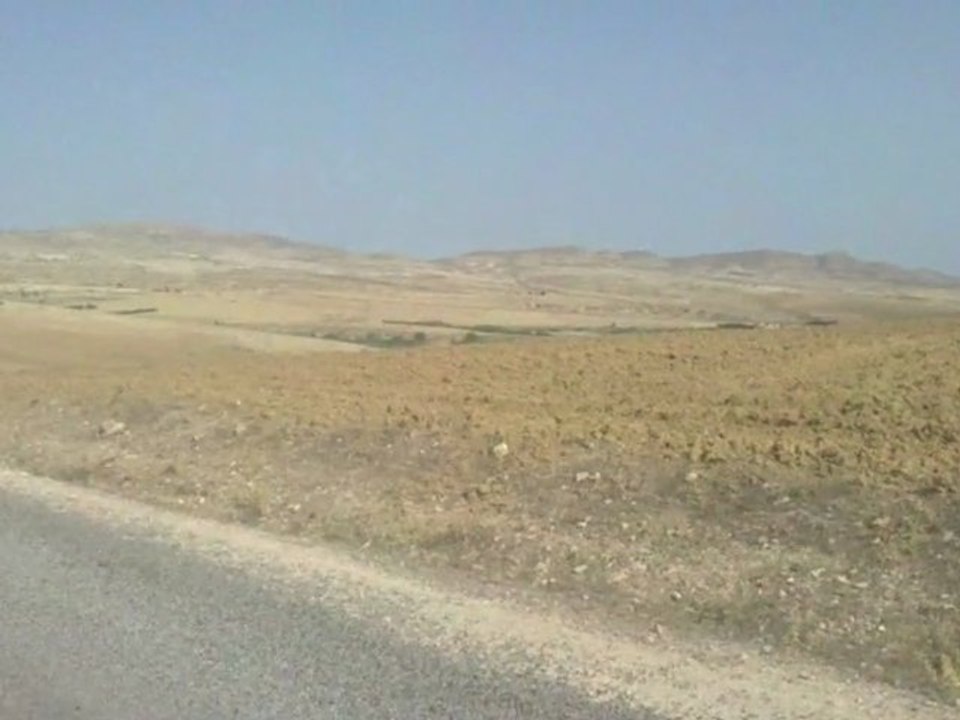 ain zargua kef tunisie campagne ferchichi