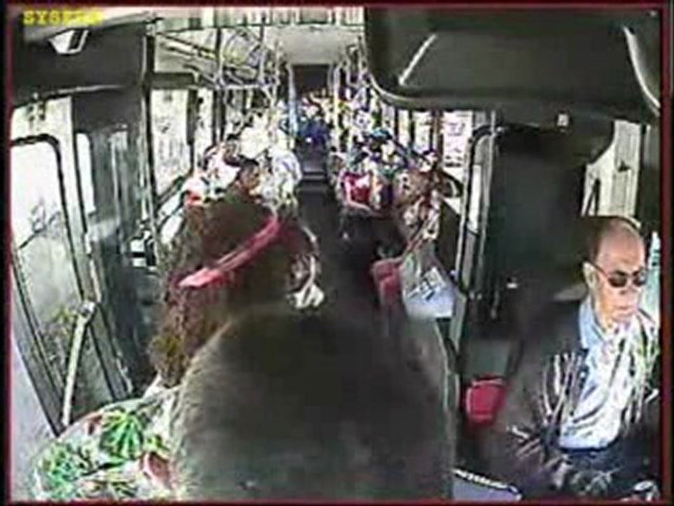 Woman Slaps Bus Driver