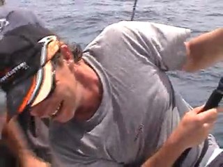 Requin gris et rigolade