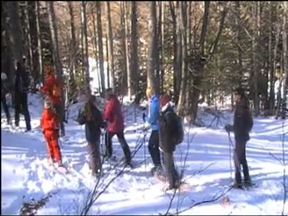 DECOUVERTE DE LA NATURE EN RAQUETTES à Ascou-Pailhères
