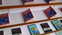 UFOs in der Wissenschaft - Einem Rätsel auf der Spur (4/7)