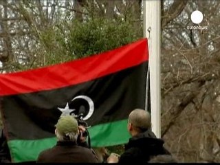 Kaddafi'nin 'arkadaşı' BM'de nasıl çark etti?