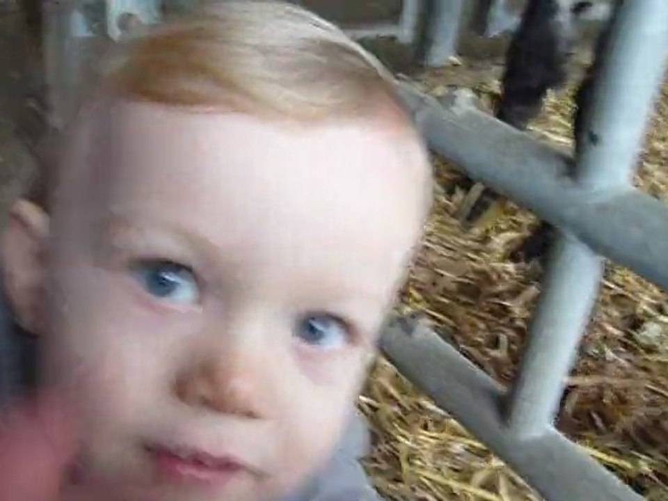 Maxence à la Ferme de Gally, 26/02/2011