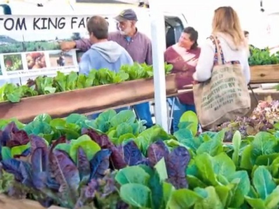 Tom King Farms creates & leases living organic garden potag