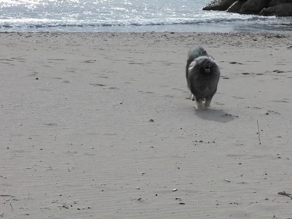 calin plage2