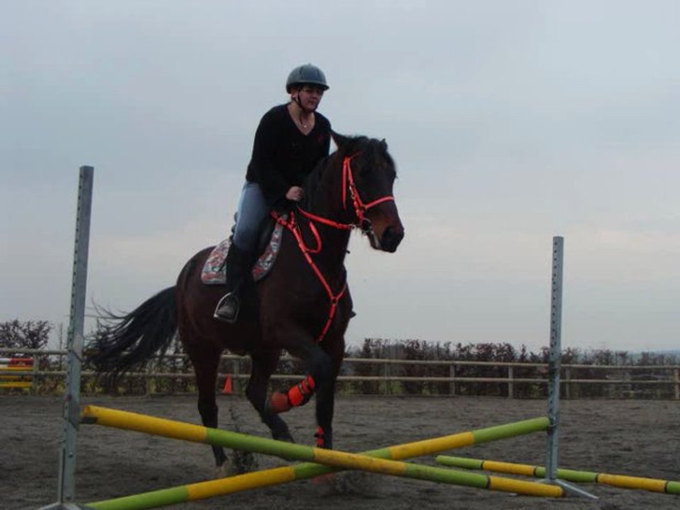 cindy avec ses chevaux