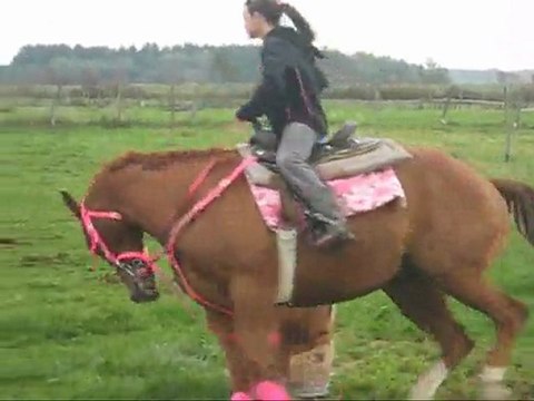 projet de francais marily