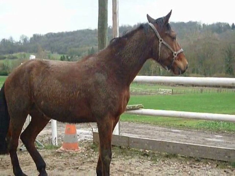 25 février 2011