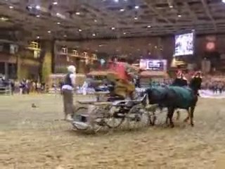 astérix et obélix contre césar !!! mé ki ki va gagner ???