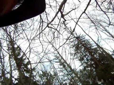 Papa Loïs 11-02-25 KiteDh Fronti St Niz