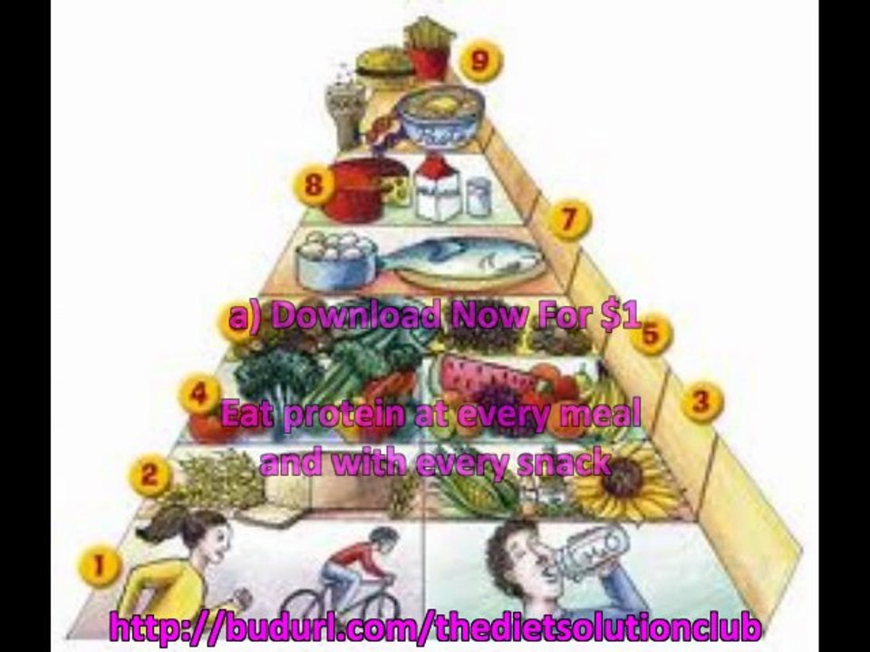 thedietsolution
