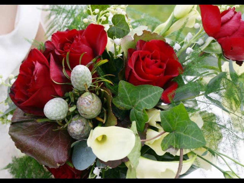 Joyeux Anniversaire Colette !