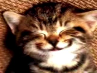 F.DELİCE@LİVE.DE :EKLEYIN BAYANLAR GORUSELIM