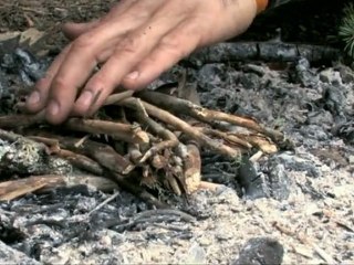 İçimdeki Doğa Bölüm 10