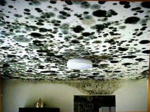 Fire and Water Damage Fort Worth