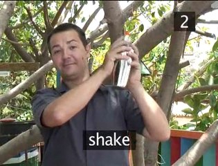 How To Make An Apple Daiquiri Straight Up Cocktail