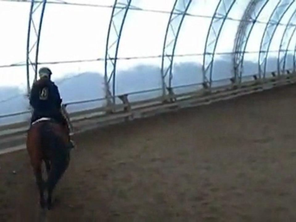 ari trot-galop