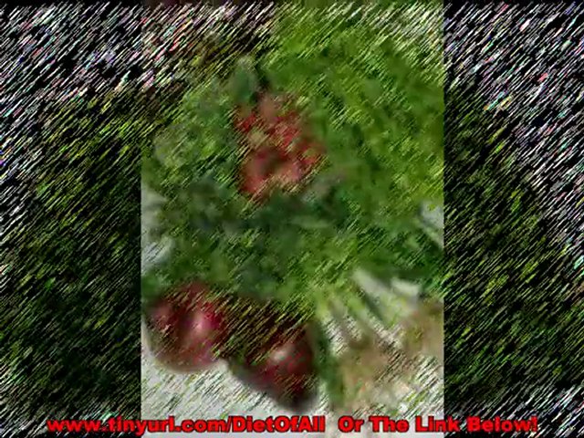 The solution program atkins diet