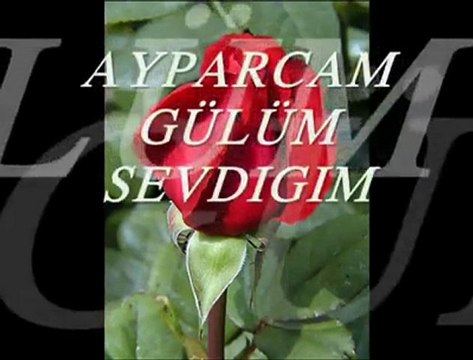 Alemlere Rahmet Gül Kokulu hz.Muhammet(sav)