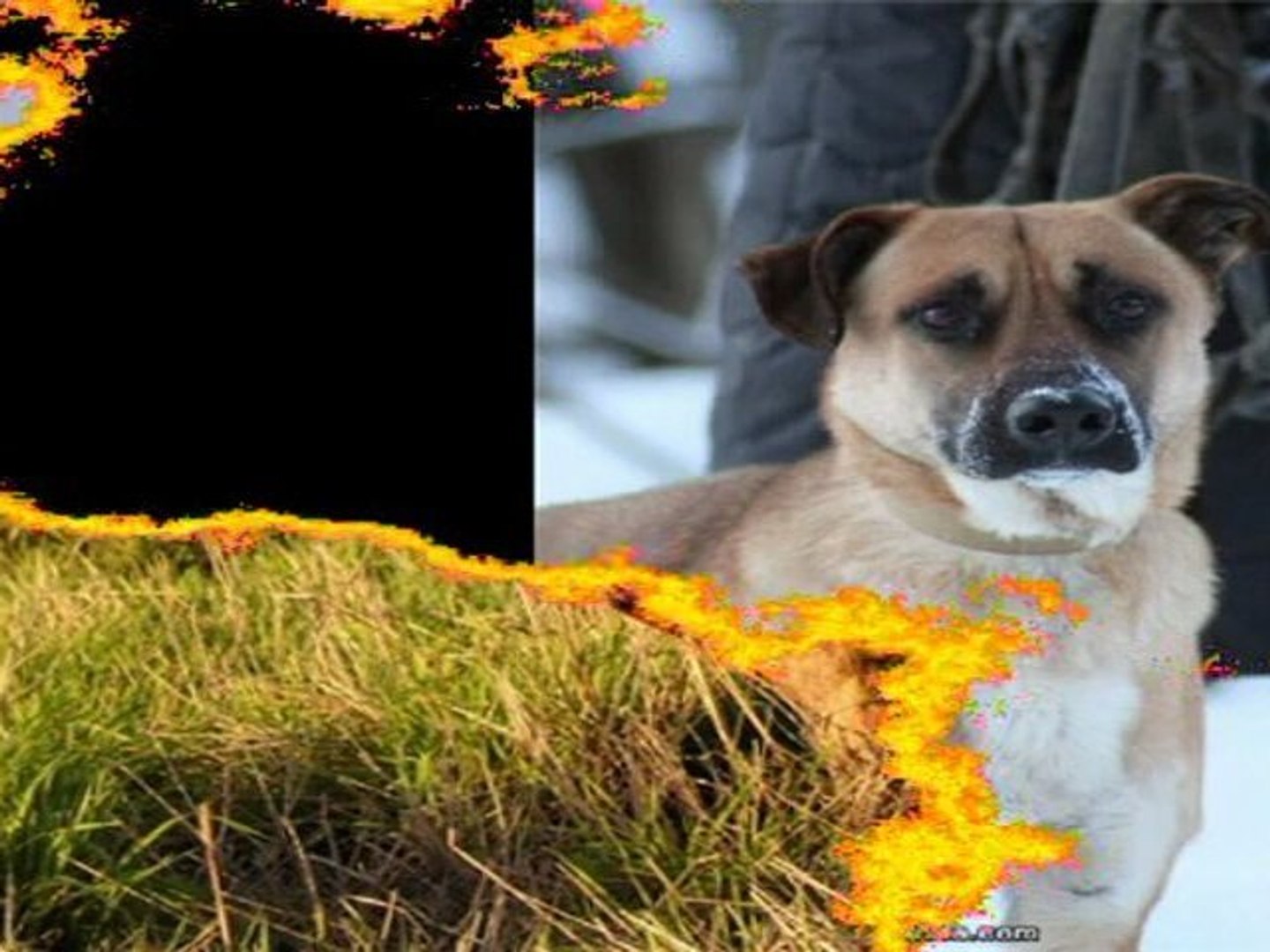 ⁣Я жду тебя ! часть 2