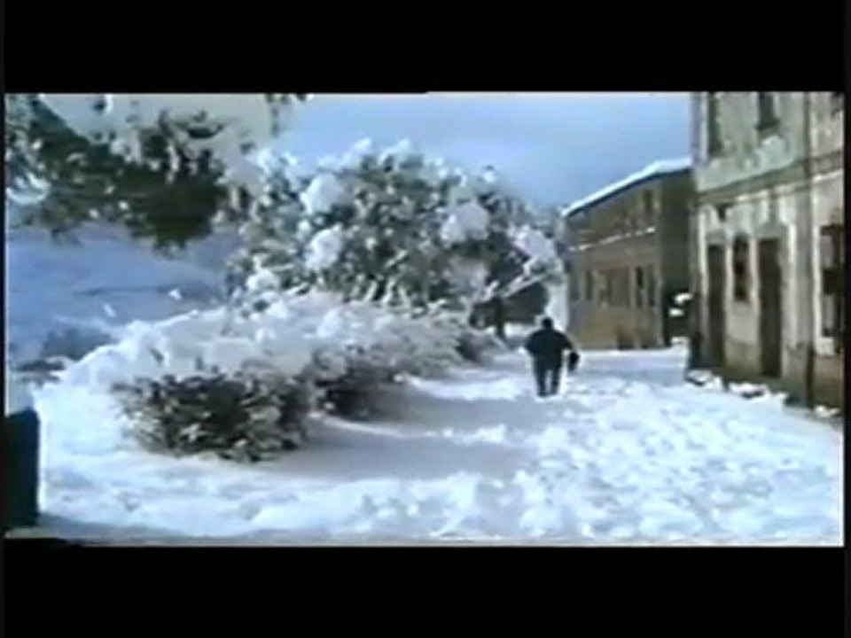 nevao em loriga de 1994