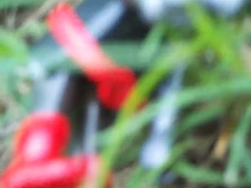 2 frères débiles playmobil